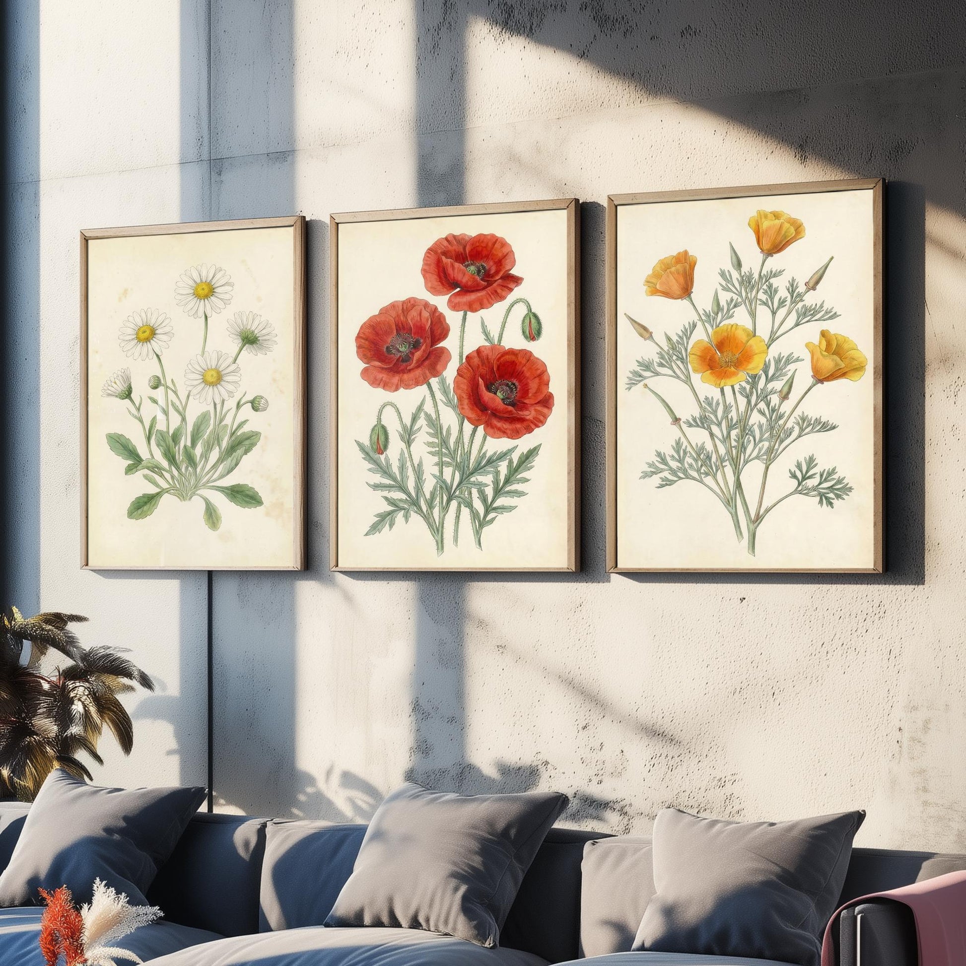 Vintage Flower Set of Three Art Prints | Daisy Poppy California Poppy Botanical Illustration Poster