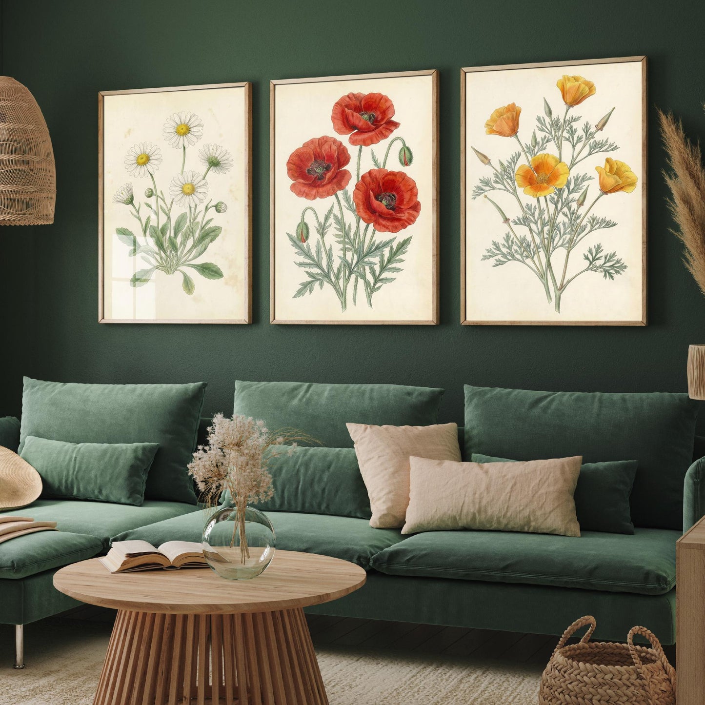 Vintage Flower Set of Three Art Prints | Daisy Poppy California Poppy Botanical Illustration Poster
