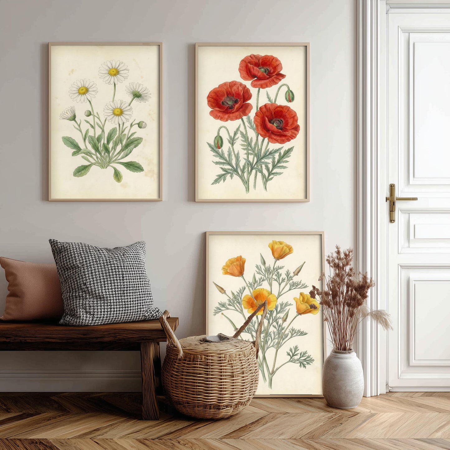 Vintage Flower Set of Three Art Prints | Daisy Poppy California Poppy Botanical Illustration Poster