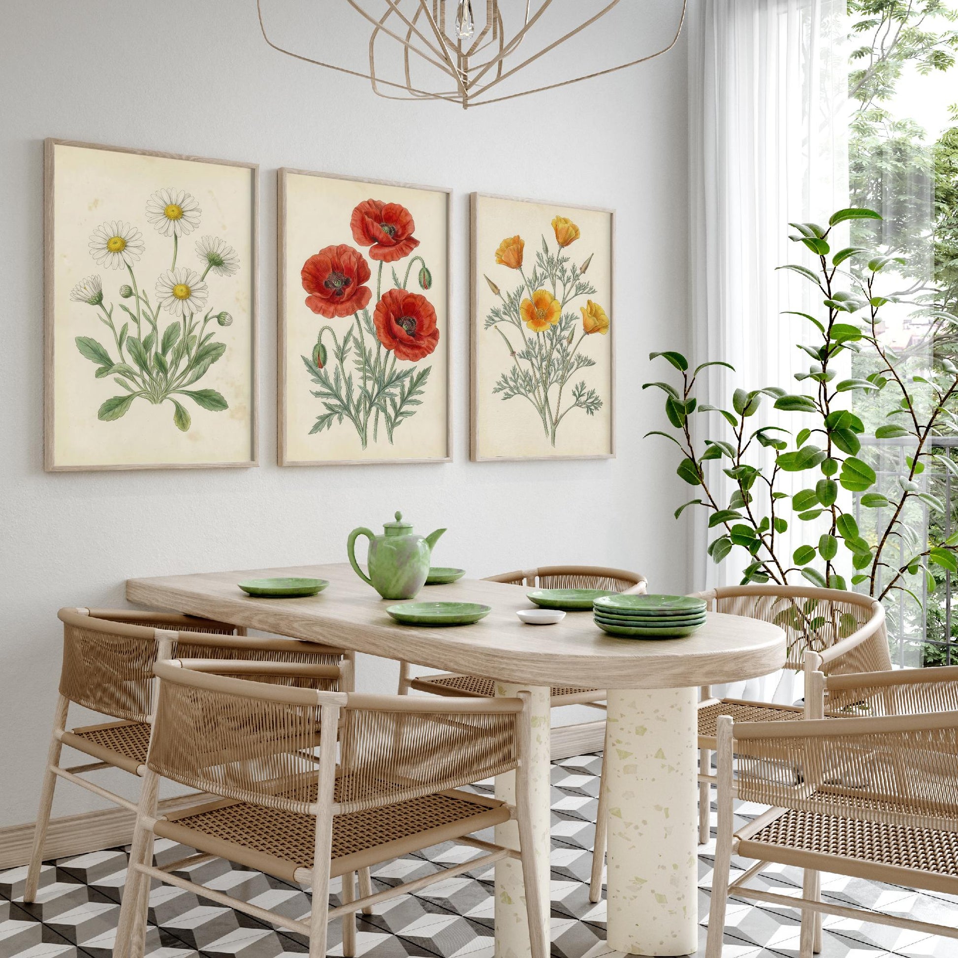 Vintage Flower Set of Three Art Prints | Daisy Poppy California Poppy Botanical Illustration Poster