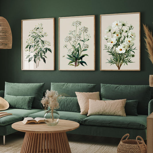 Green Botanical Set of Three Art Prints | Mock Orange Sweet Alyssum Cosmos Illustration Poster V1