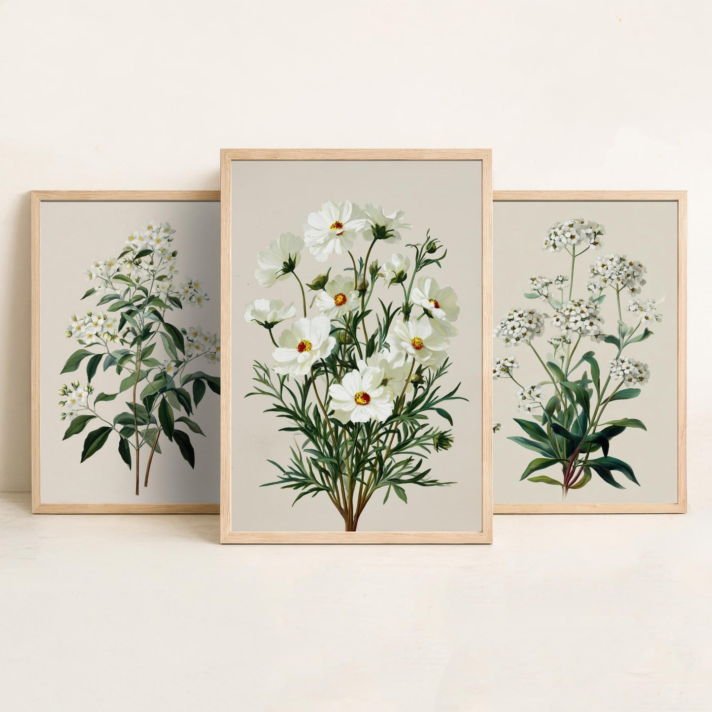 Green Botanical Set of Three Art Prints | Mock Orange Sweet Alyssum Cosmos Illustration Poster V1