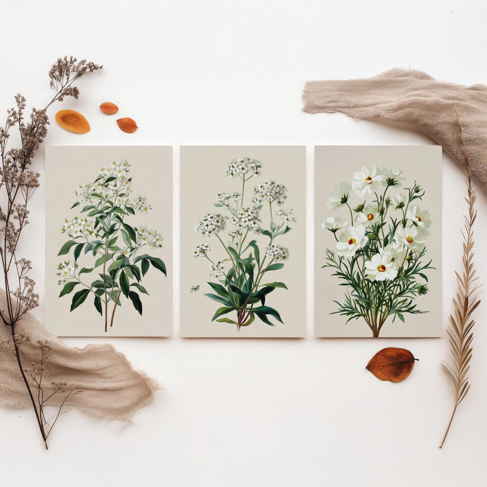 Green Botanical Set of Three Art Prints | Mock Orange Sweet Alyssum Cosmos Illustration Poster V1