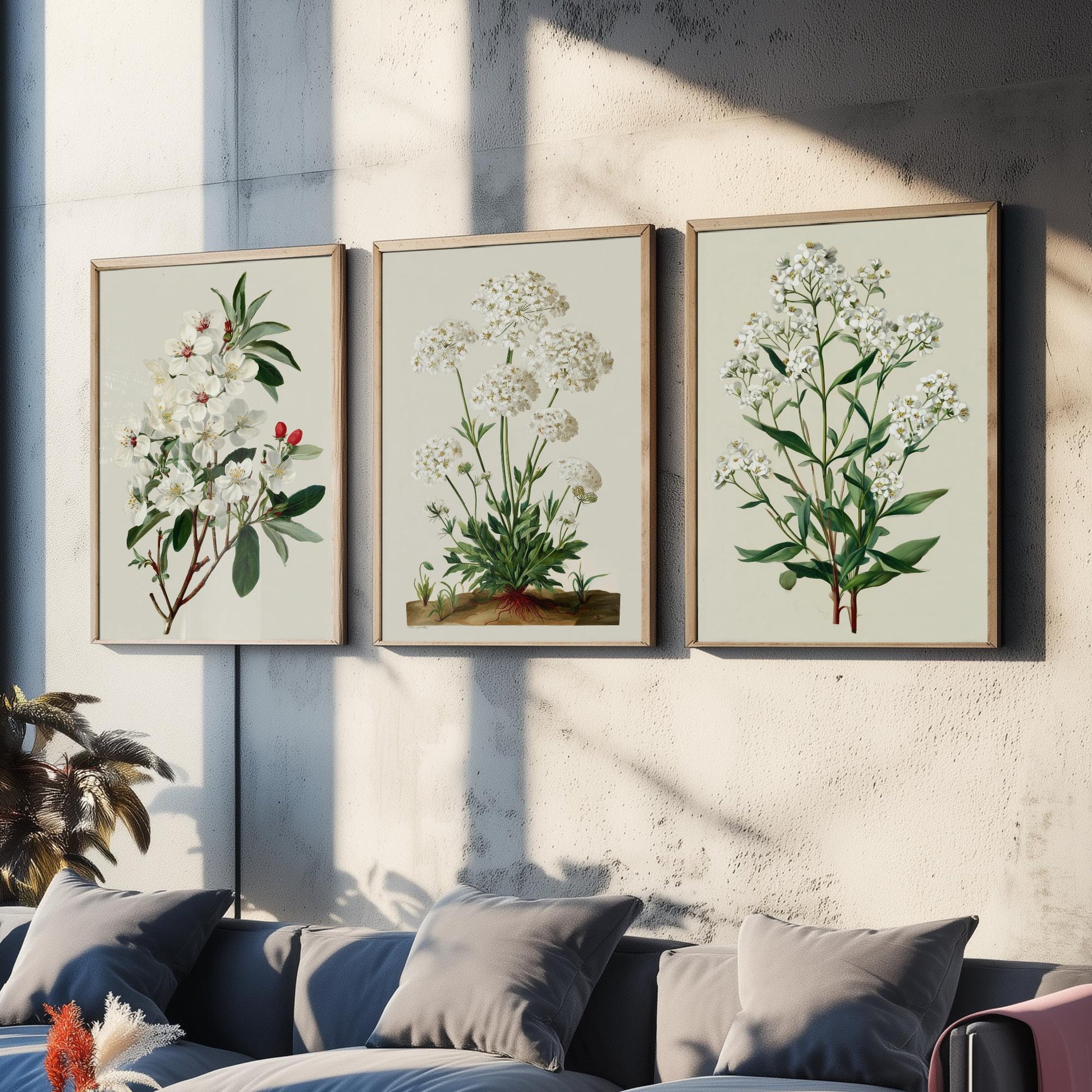 Green Botanical Set of Three Art Prints | Plum Blossom Queen Annes Lace Babys Breath Illustration Poster V2