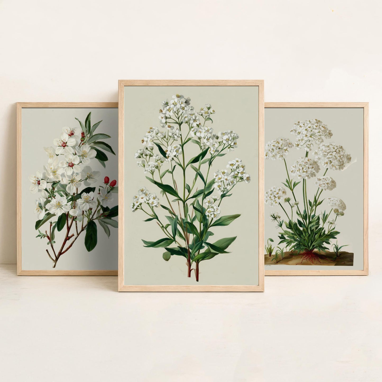 Green Botanical Set of Three Art Prints | Plum Blossom Queen Annes Lace Babys Breath Illustration Poster V2