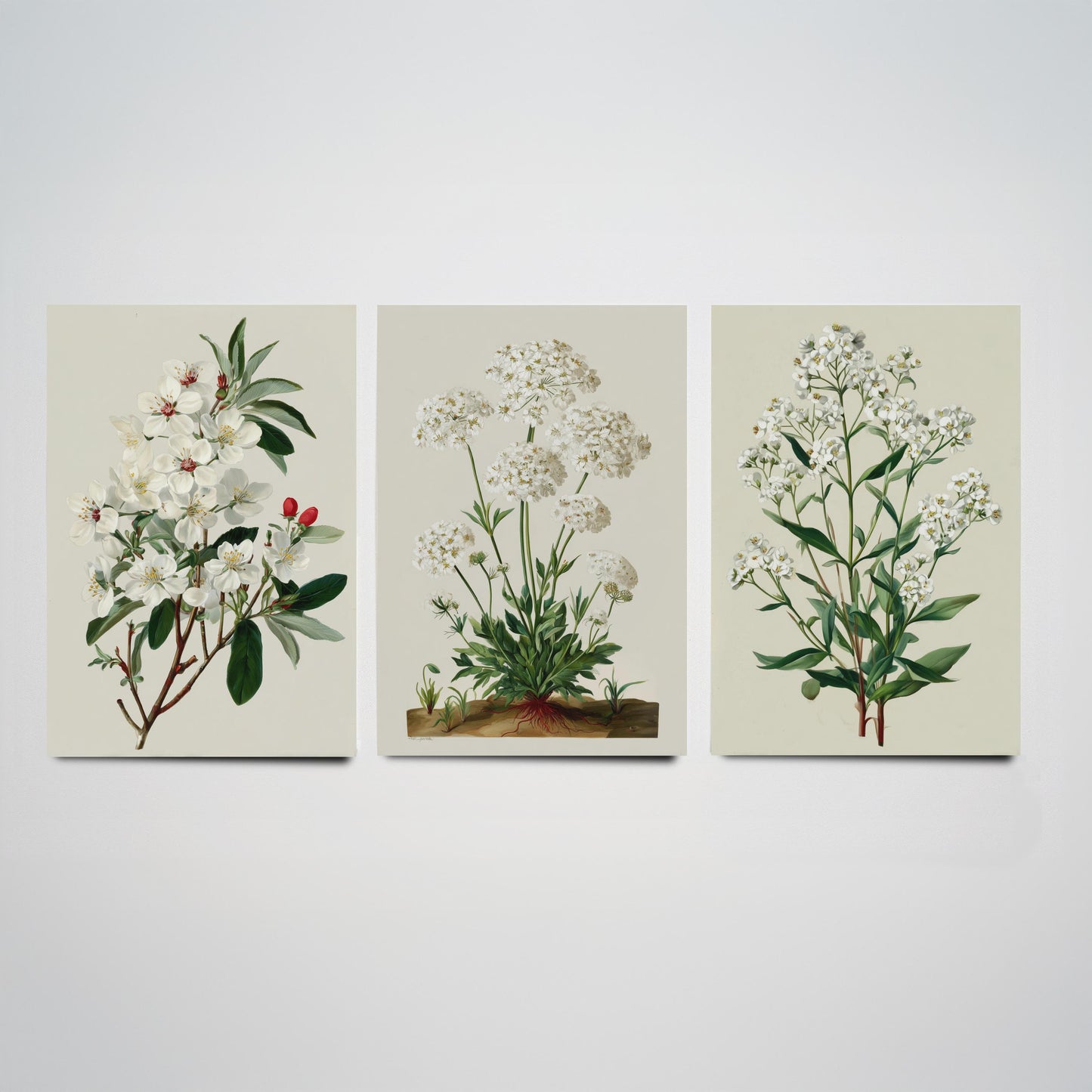 Green Botanical Set of Three Art Prints | Plum Blossom Queen Annes Lace Babys Breath Illustration Poster V2