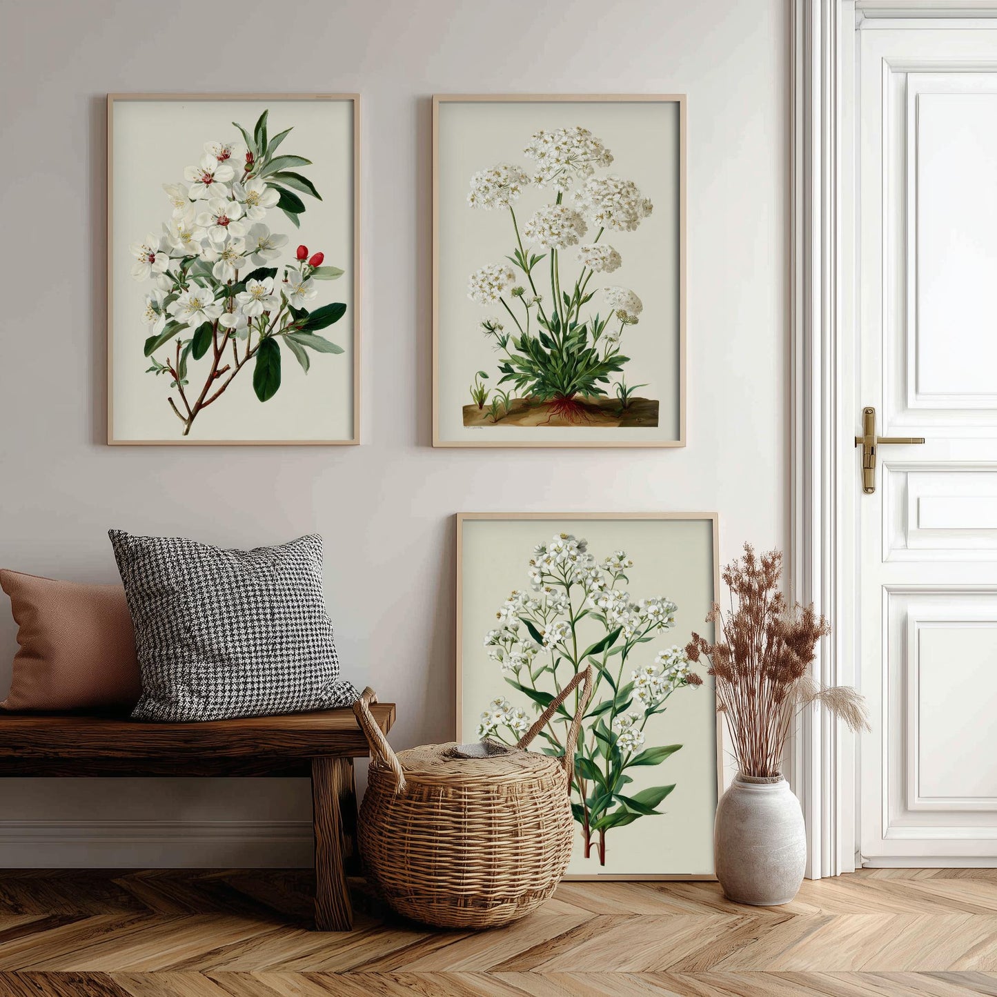 Green Botanical Set of Three Art Prints | Plum Blossom Queen Annes Lace Babys Breath Illustration Poster V2