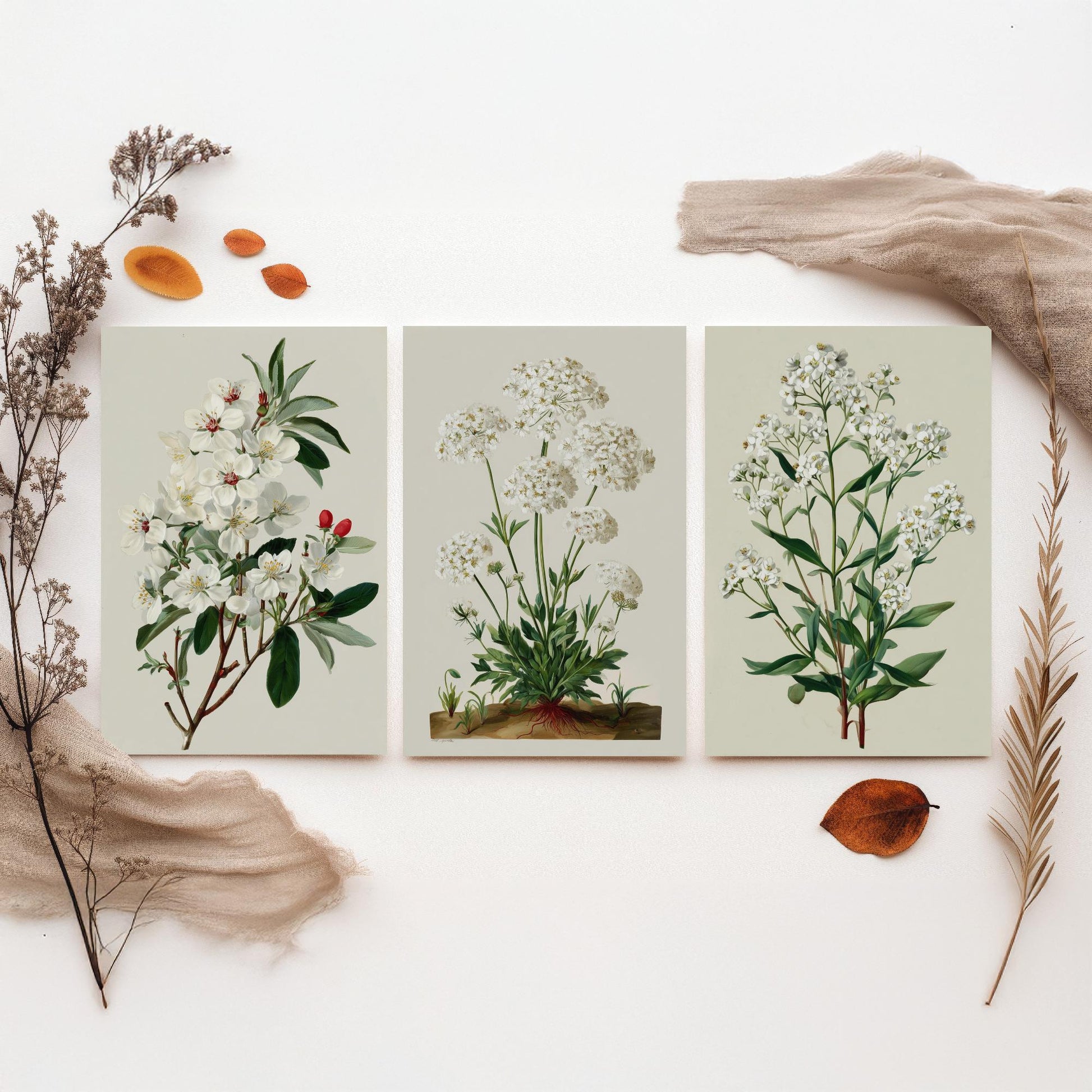 Green Botanical Set of Three Art Prints | Plum Blossom Queen Annes Lace Babys Breath Illustration Poster V2