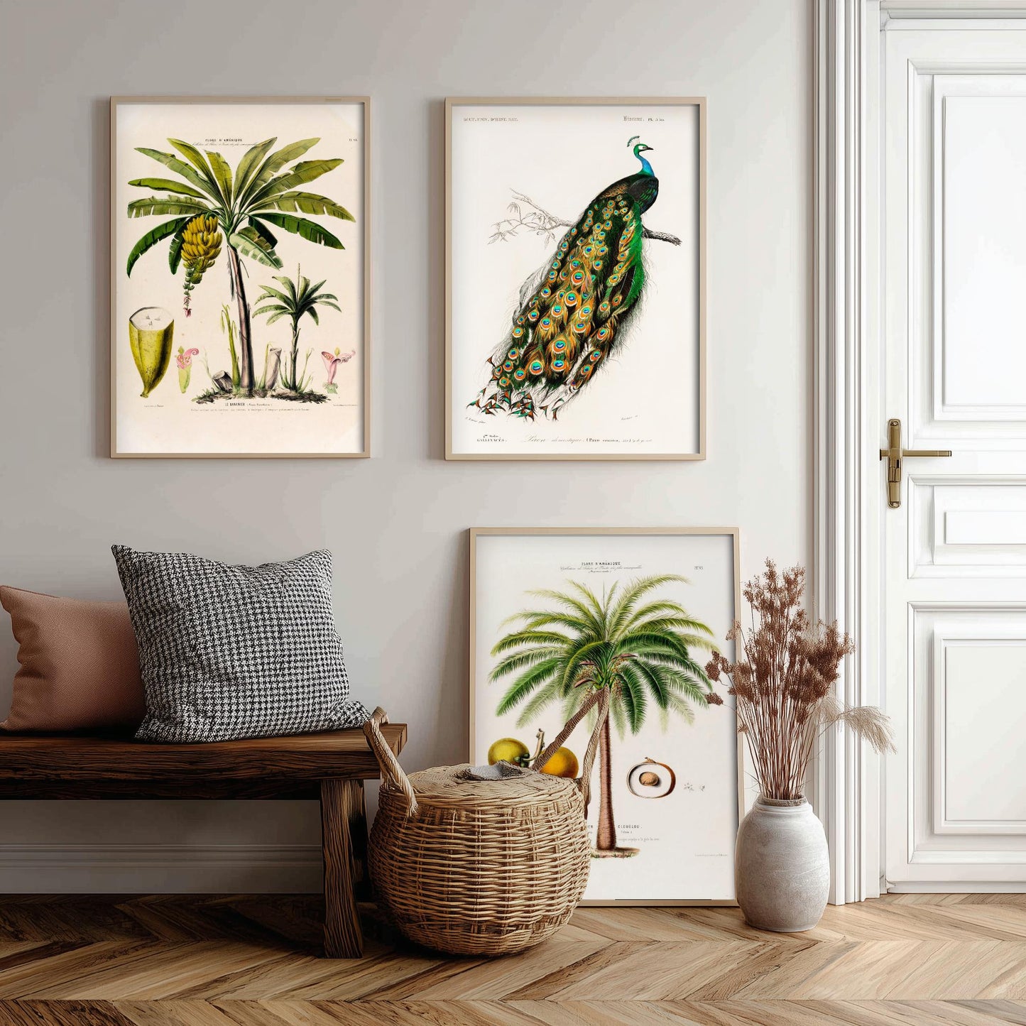Vintage Natural History Set of Three Art Prints | Banana Plant Peacock Palm Tree Illustration Poster