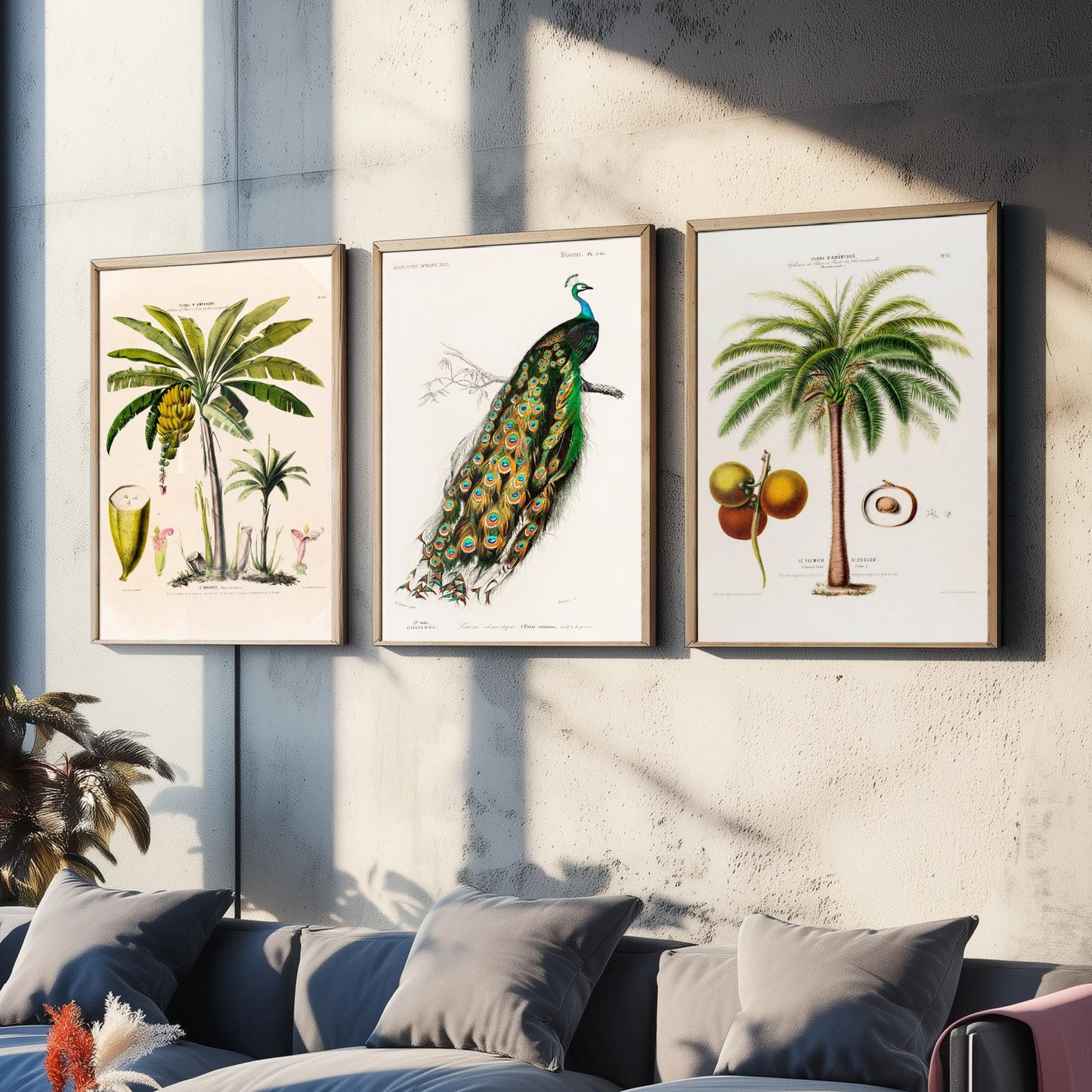 Vintage Natural History Set of Three Art Prints | Banana Plant Peacock Palm Tree Illustration Poster