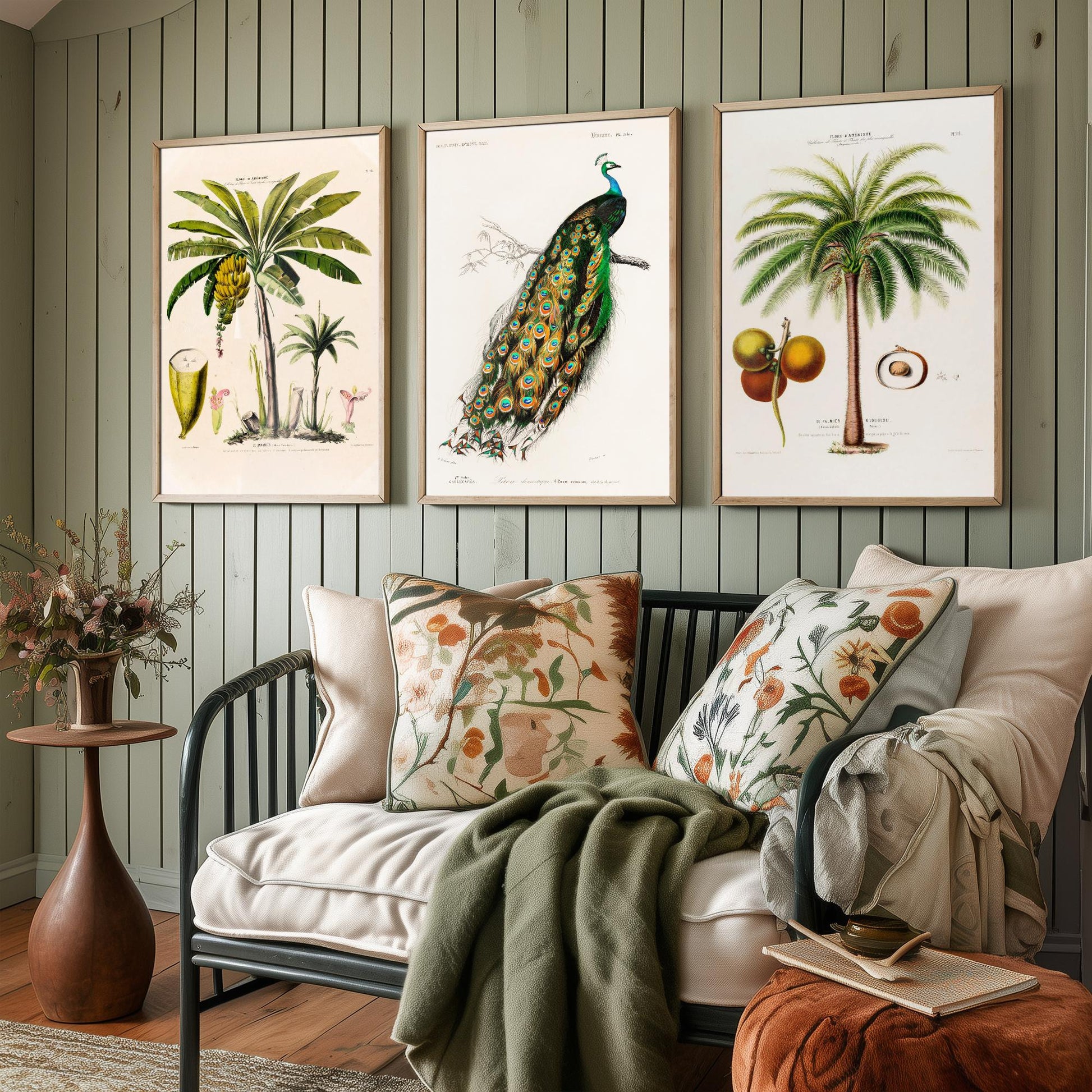 Vintage Natural History Set of Three Art Prints | Banana Plant Peacock Palm Tree Illustration Poster