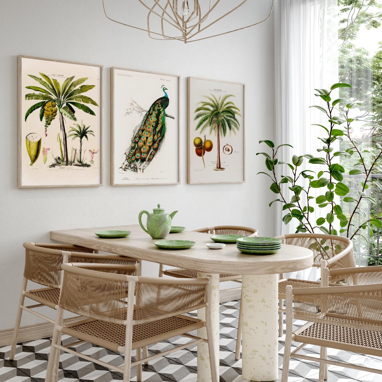 Vintage Natural History Set of Three Art Prints | Banana Plant Peacock Palm Tree Illustration Poster