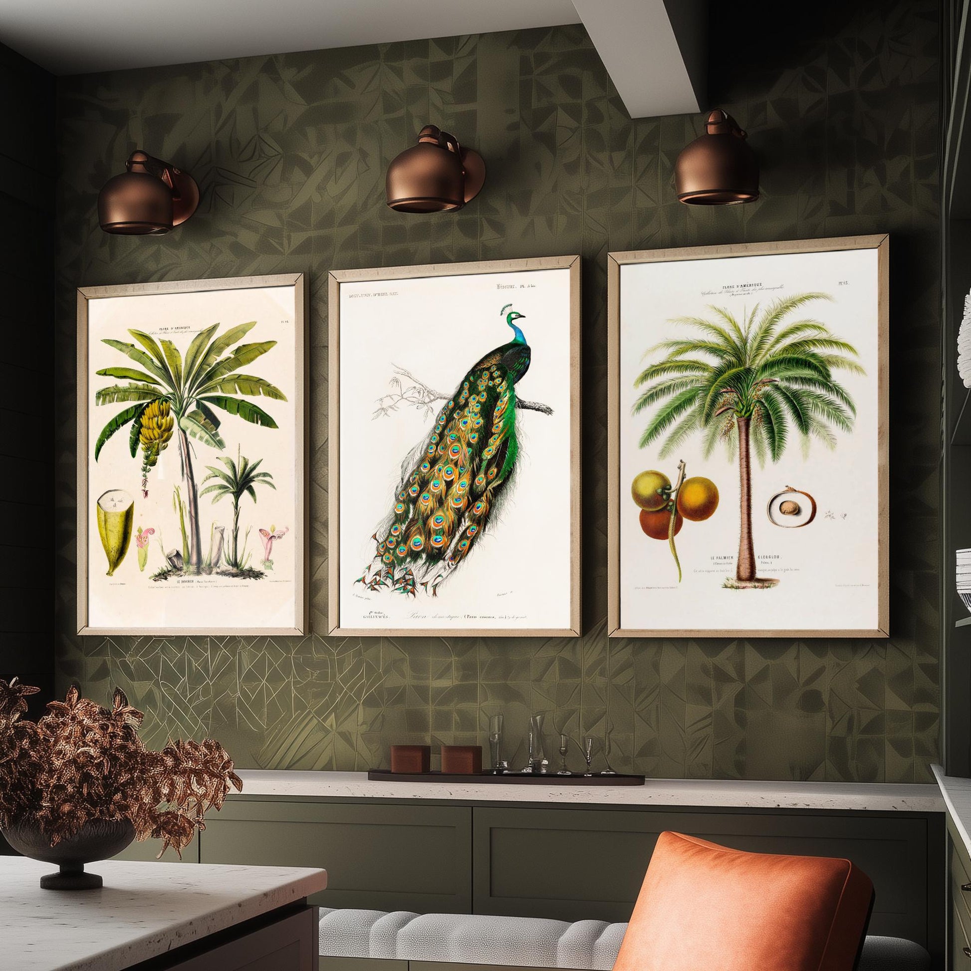 Vintage Natural History Set of Three Art Prints | Banana Plant Peacock Palm Tree Illustration Poster