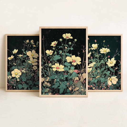 Wildflower Daisies Set of Three Art Prints | Moody Dark Botanical Illustration Poster