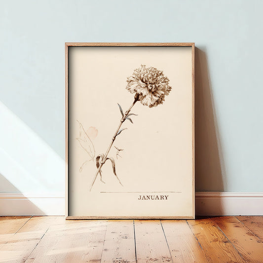 January Birth Flower Art Print - Carnation Poster - Antique Sepia Ink Botanical Illustration - Birth Month Gift 01/12