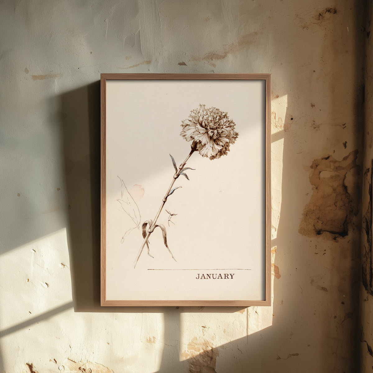 January Birth Flower Art Print - Carnation Poster - Antique Sepia Ink Botanical Illustration - Birth Month Gift 01/12