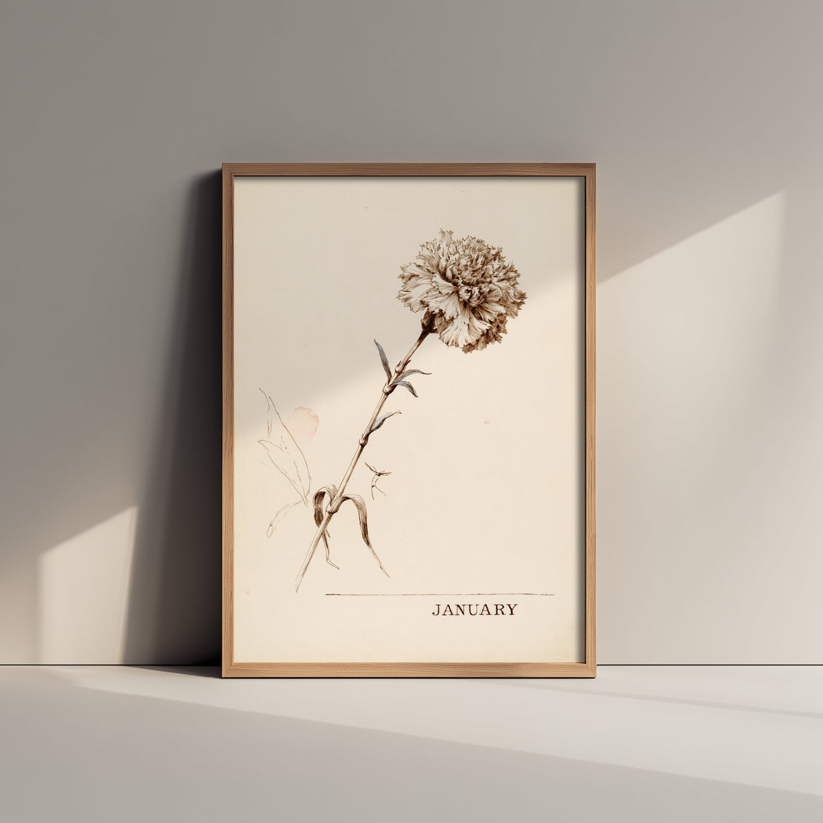January Birth Flower Art Print - Carnation Poster - Antique Sepia Ink Botanical Illustration - Birth Month Gift 01/12