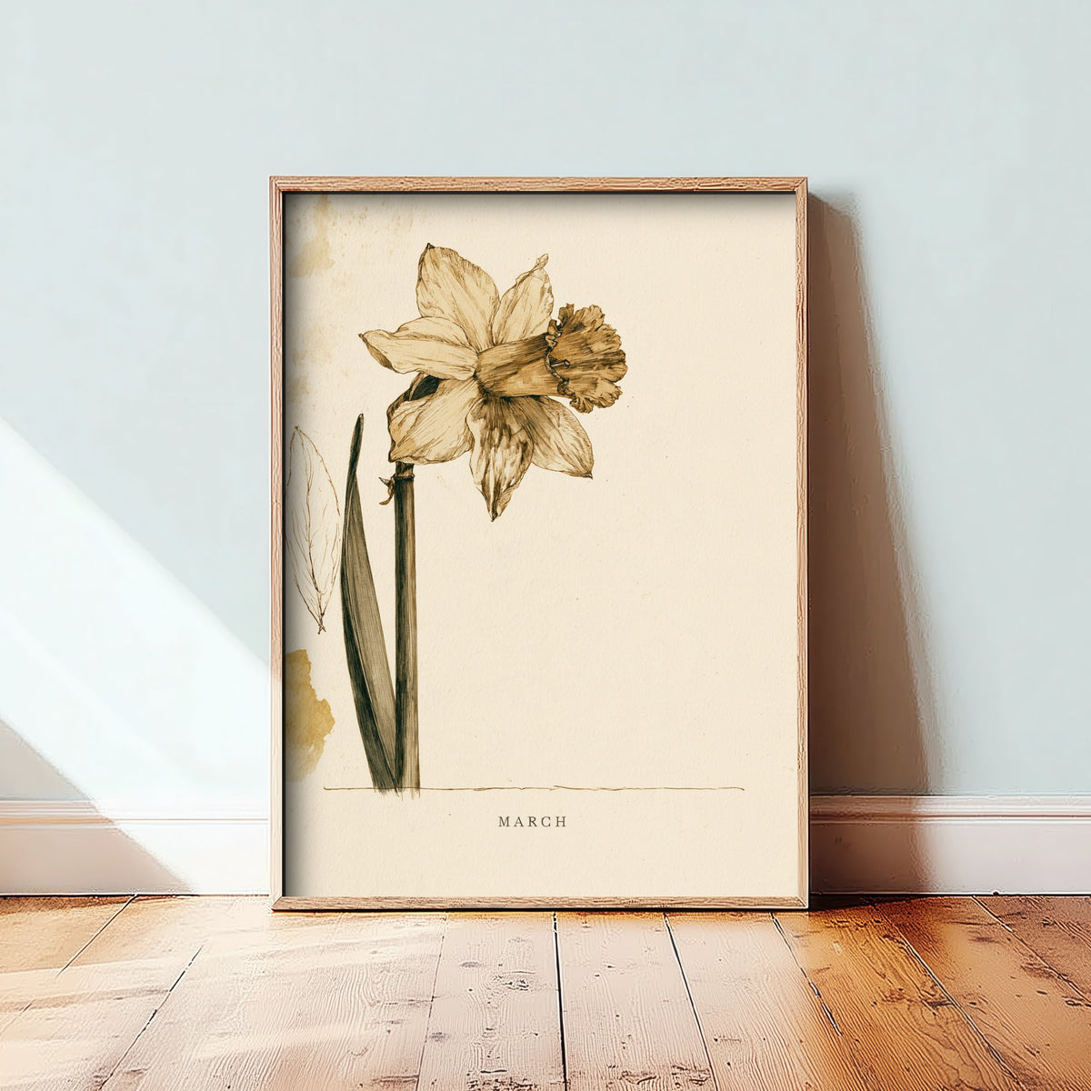 March Birth Flower Art Print - Daffodil Poster - Antique Sepia Ink Botanical Illustration - Birth Month Gift 03/12