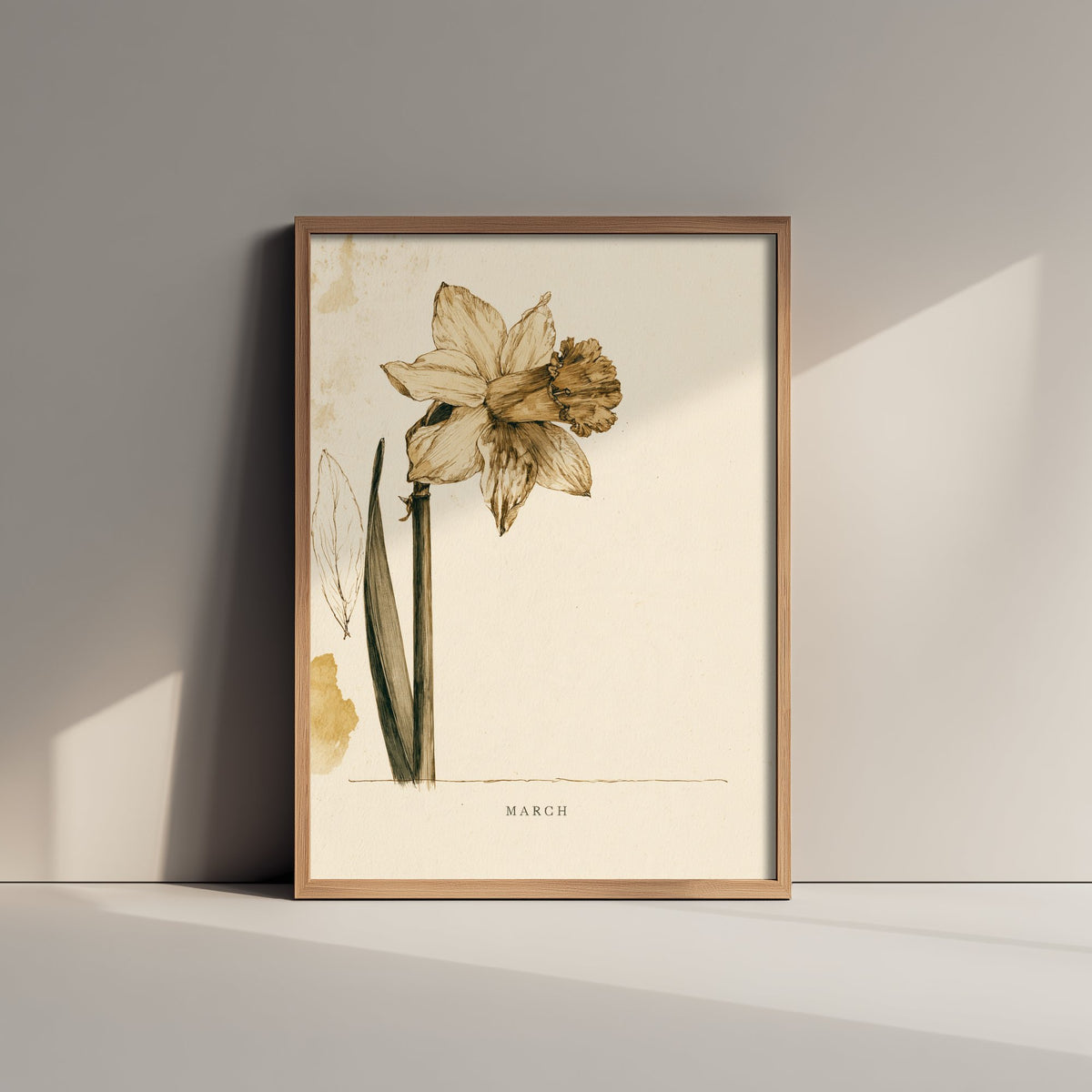 March Birth Flower Art Print - Daffodil Poster - Antique Sepia Ink Botanical Illustration - Birth Month Gift 03/12