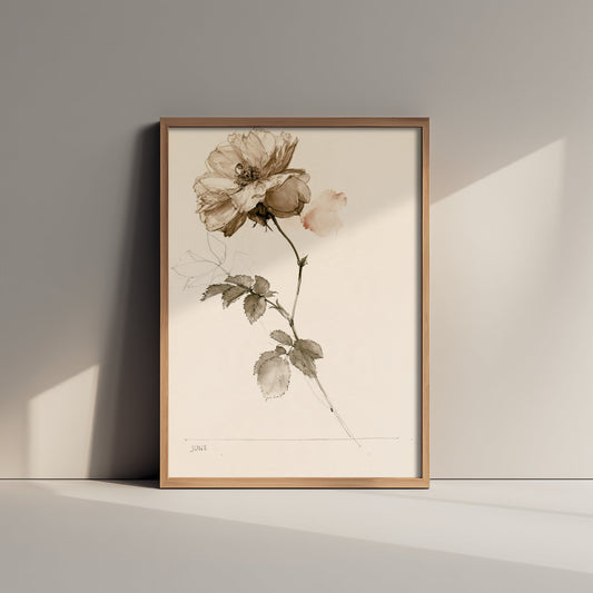 June Birth Flower Art Print - Rose Poster - Antique Sepia Ink Botanical Illustration - Birth Month Gift 06/12