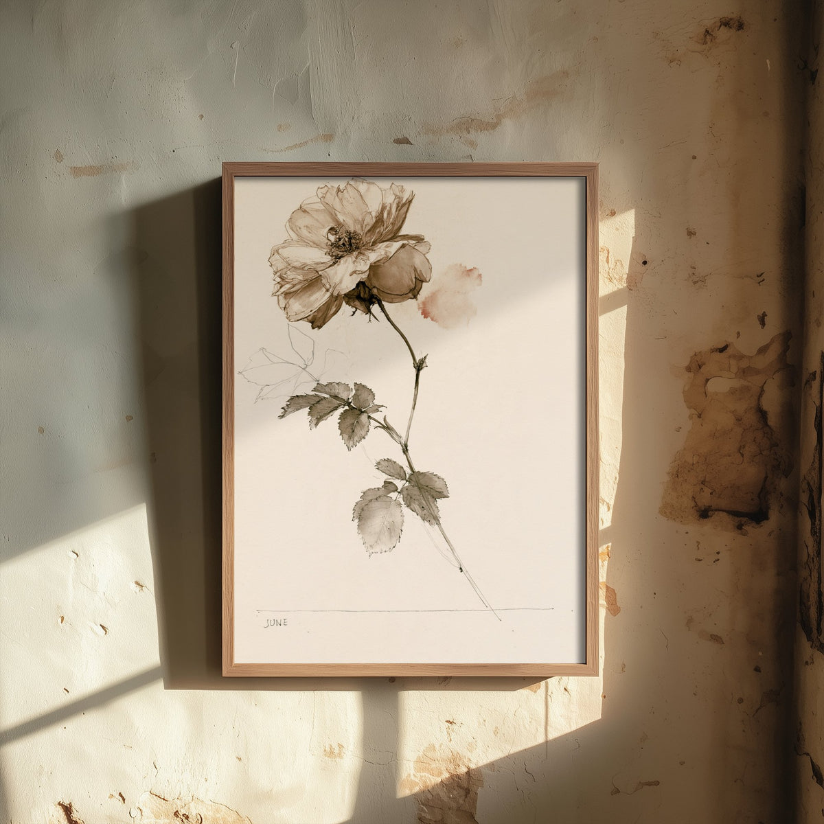 June Birth Flower Art Print - Rose Poster - Antique Sepia Ink Botanical Illustration - Birth Month Gift 06/12
