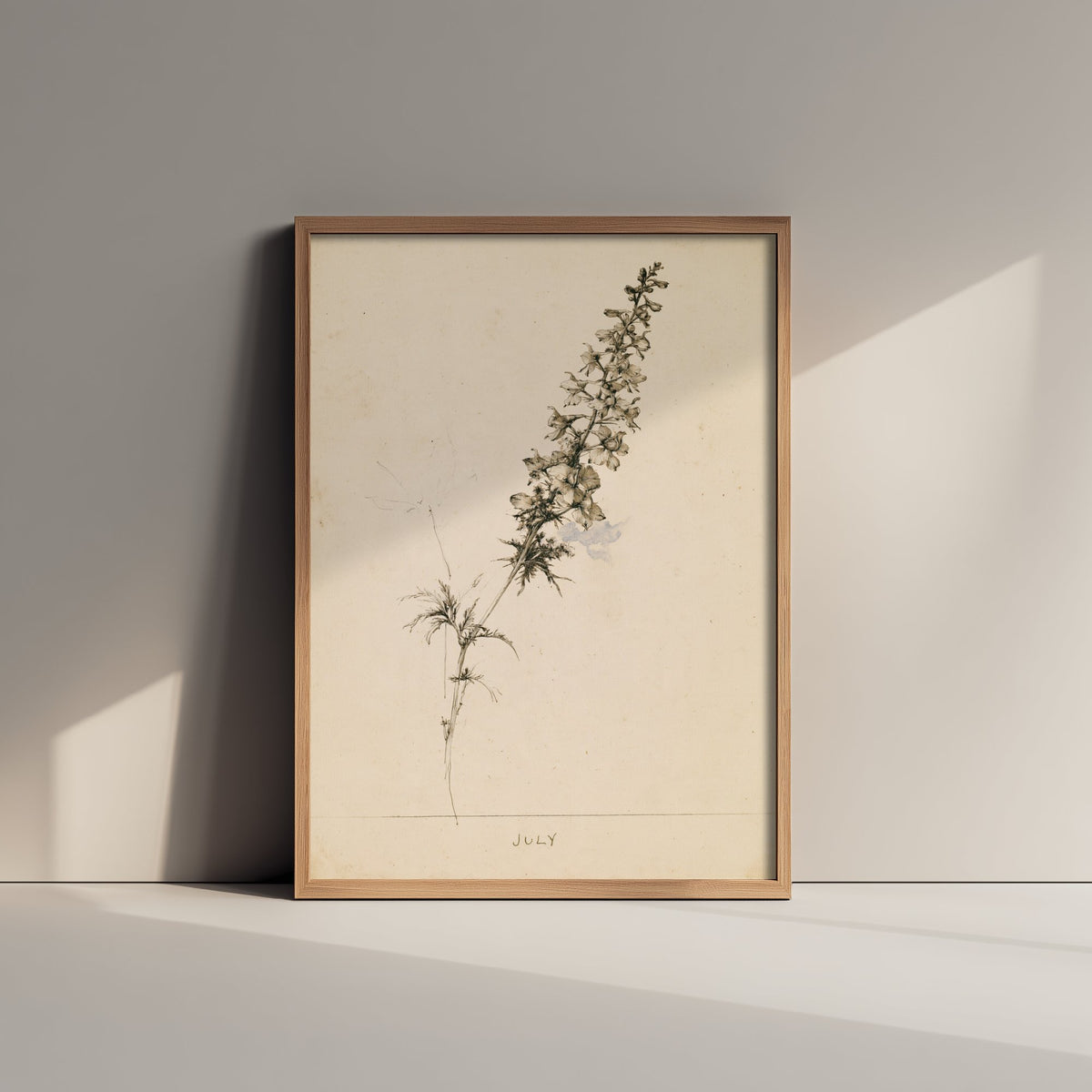 July Birth Flower Art Print - Larkspur Poster - Antique Sepia Ink Botanical Illustration - Birth Month Gift 07/12