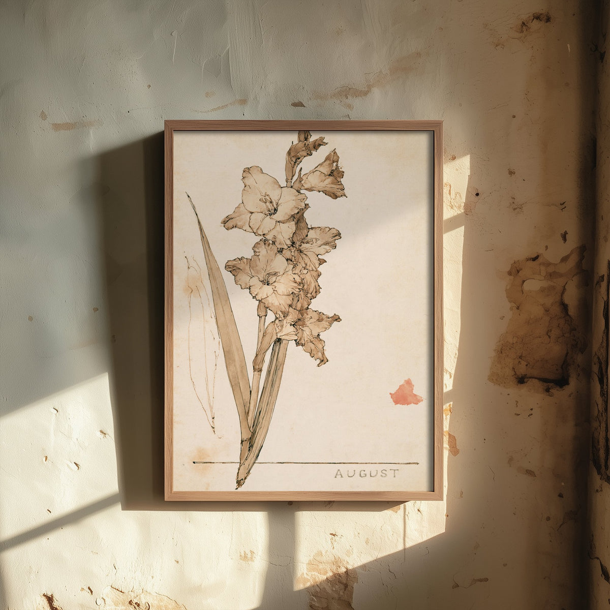 August Birth Flower Art Print - Gladiolus Poster - Antique Sepia Ink Botanical Illustration - Birth Month Gift 08/12