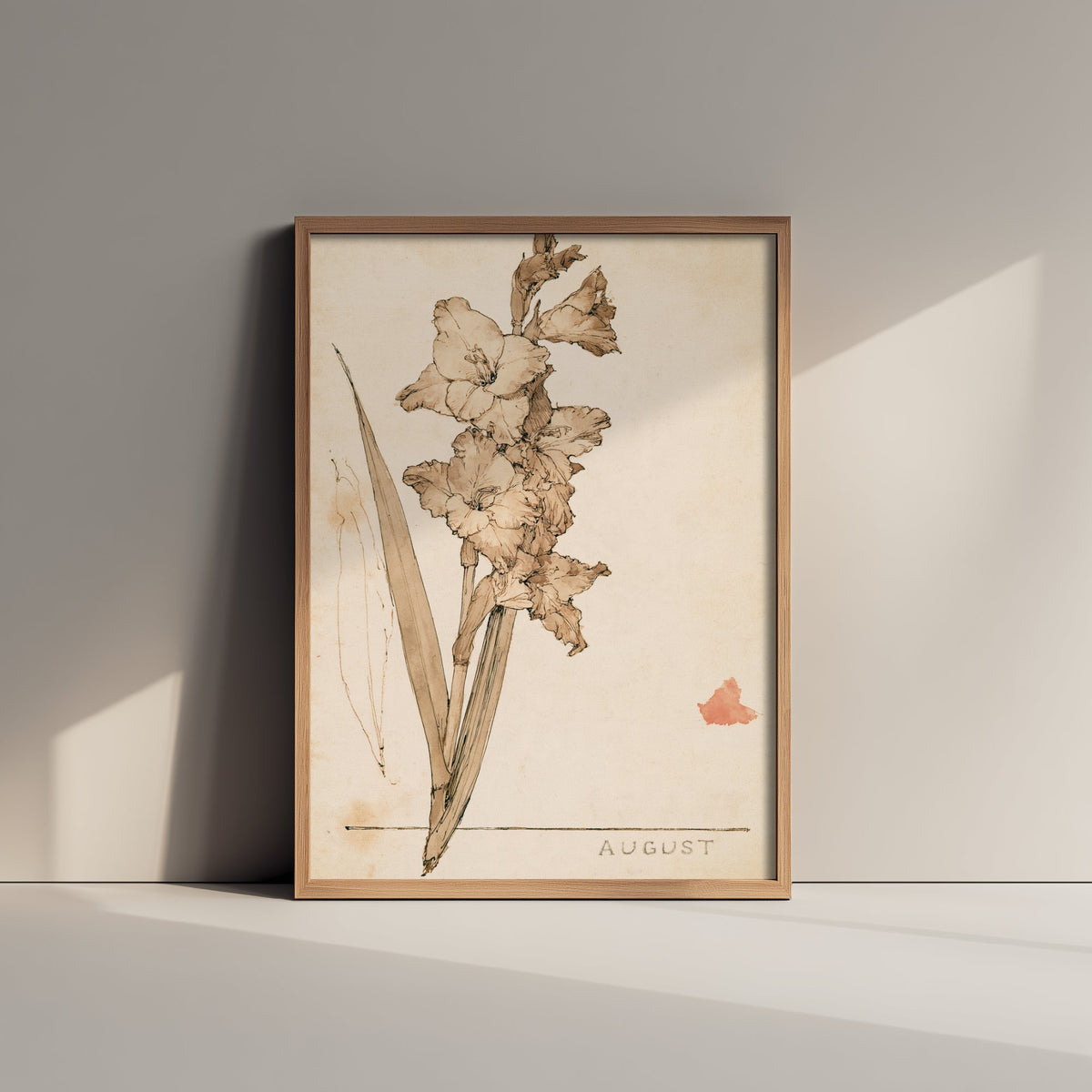August Birth Flower Art Print - Gladiolus Poster - Antique Sepia Ink Botanical Illustration - Birth Month Gift 08/12