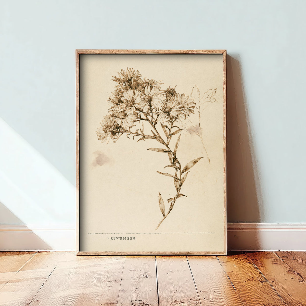 September Birth Flower Art Print - Aster Poster - Antique Sepia Ink Botanical Illustration - Birth Month Gift 09/12