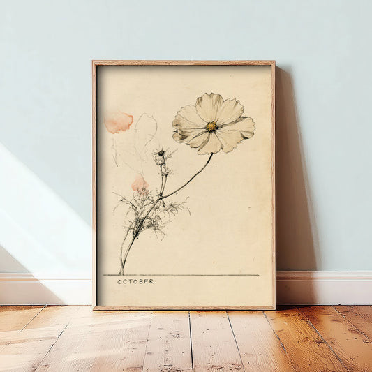 October Birth Flower Art Print - Cosmos Poster - Antique Sepia Ink Botanical Illustration - Birth Month Gift 10/12