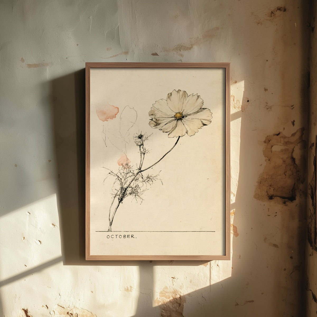 October Birth Flower Art Print - Cosmos Poster - Antique Sepia Ink Botanical Illustration - Birth Month Gift 10/12