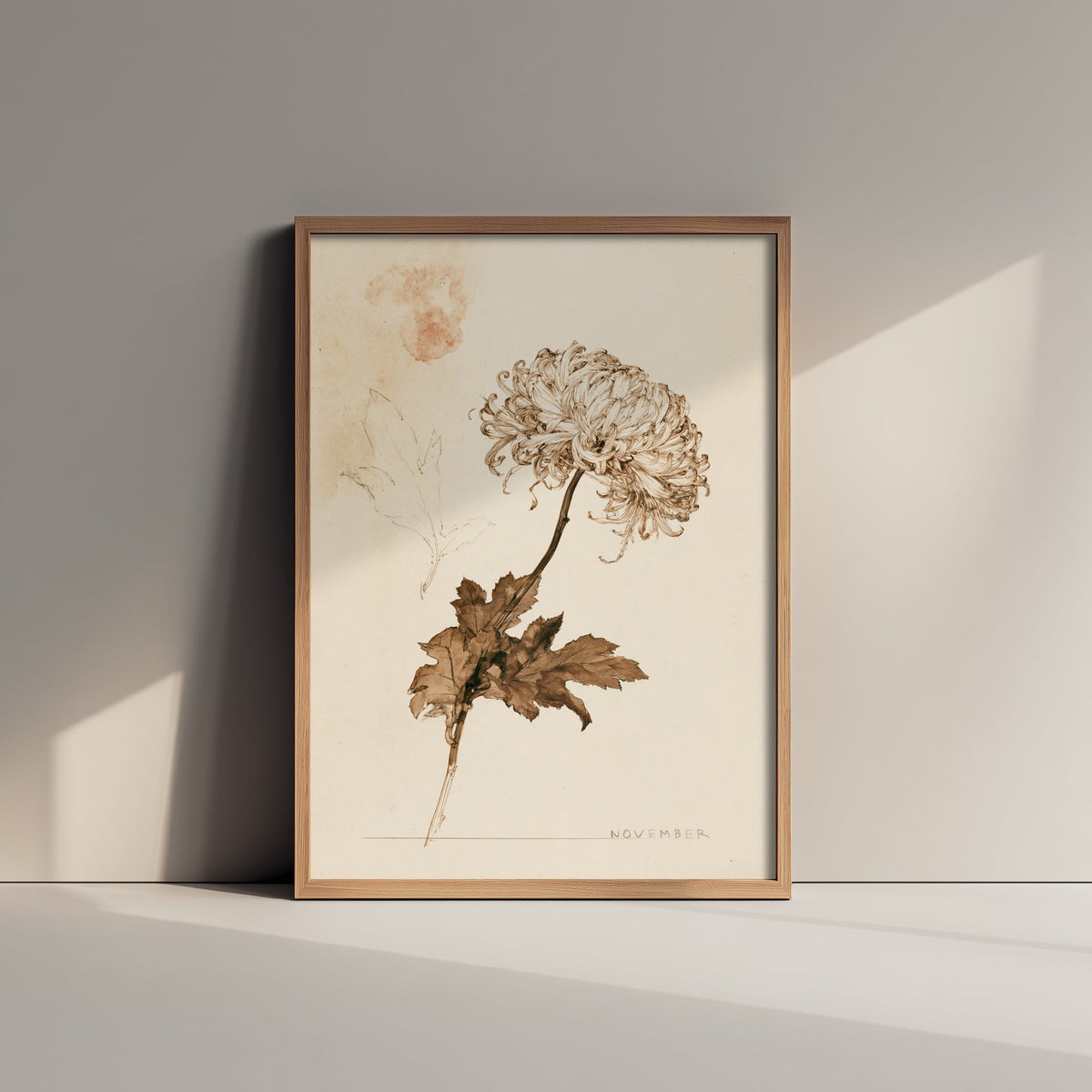 November Birth Flower Art Print - Chrysanthemum Poster - Antique Sepia Ink Botanical Illustration - Birth Month Gift 11/12