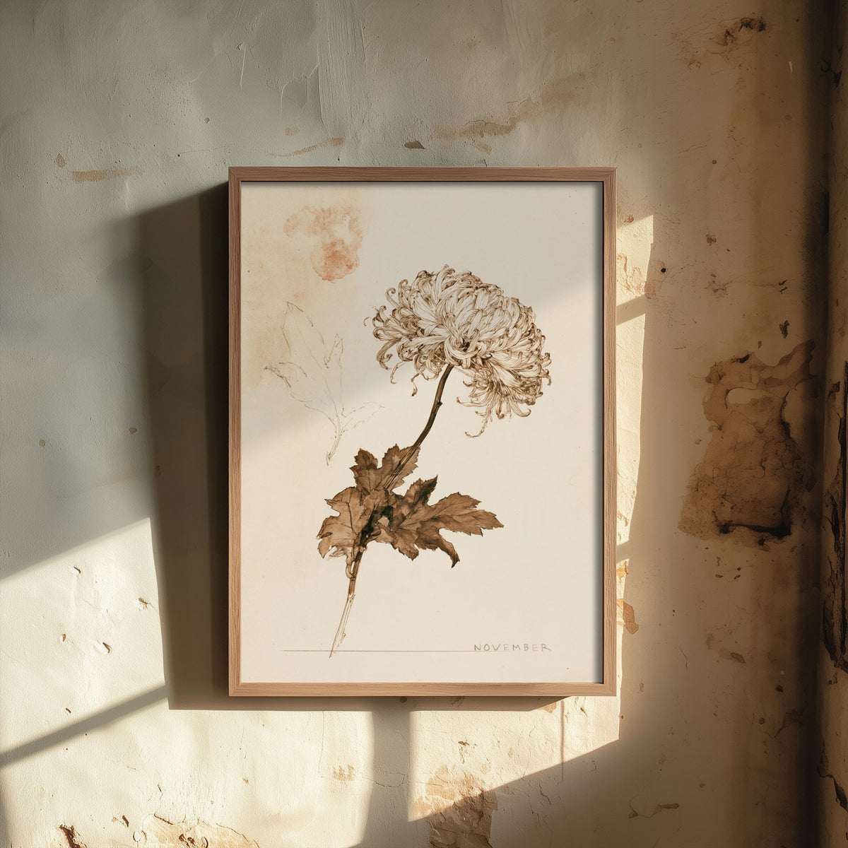 November Birth Flower Art Print - Chrysanthemum Poster - Antique Sepia Ink Botanical Illustration - Birth Month Gift 11/12