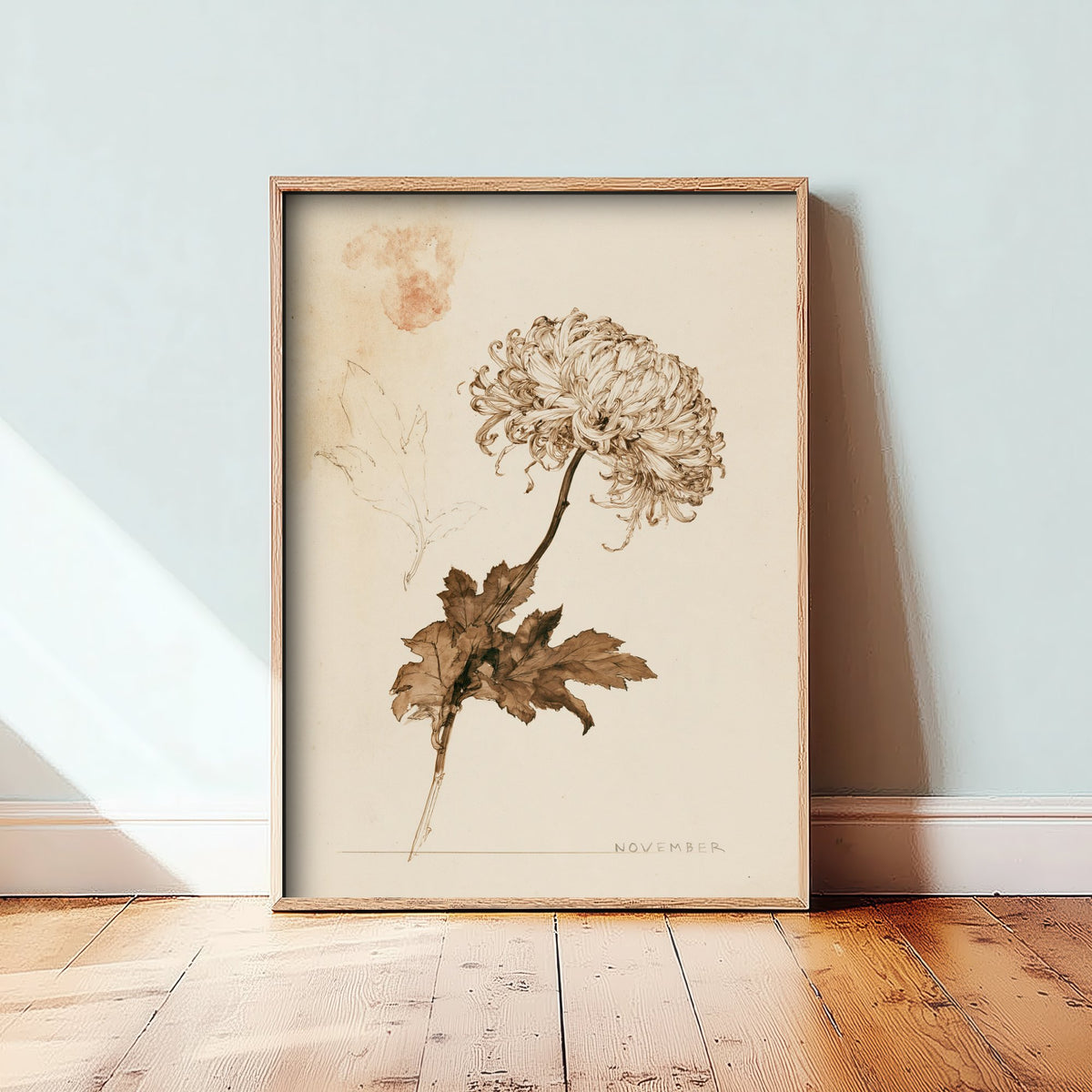 November Birth Flower Art Print - Chrysanthemum Poster - Antique Sepia Ink Botanical Illustration - Birth Month Gift 11/12