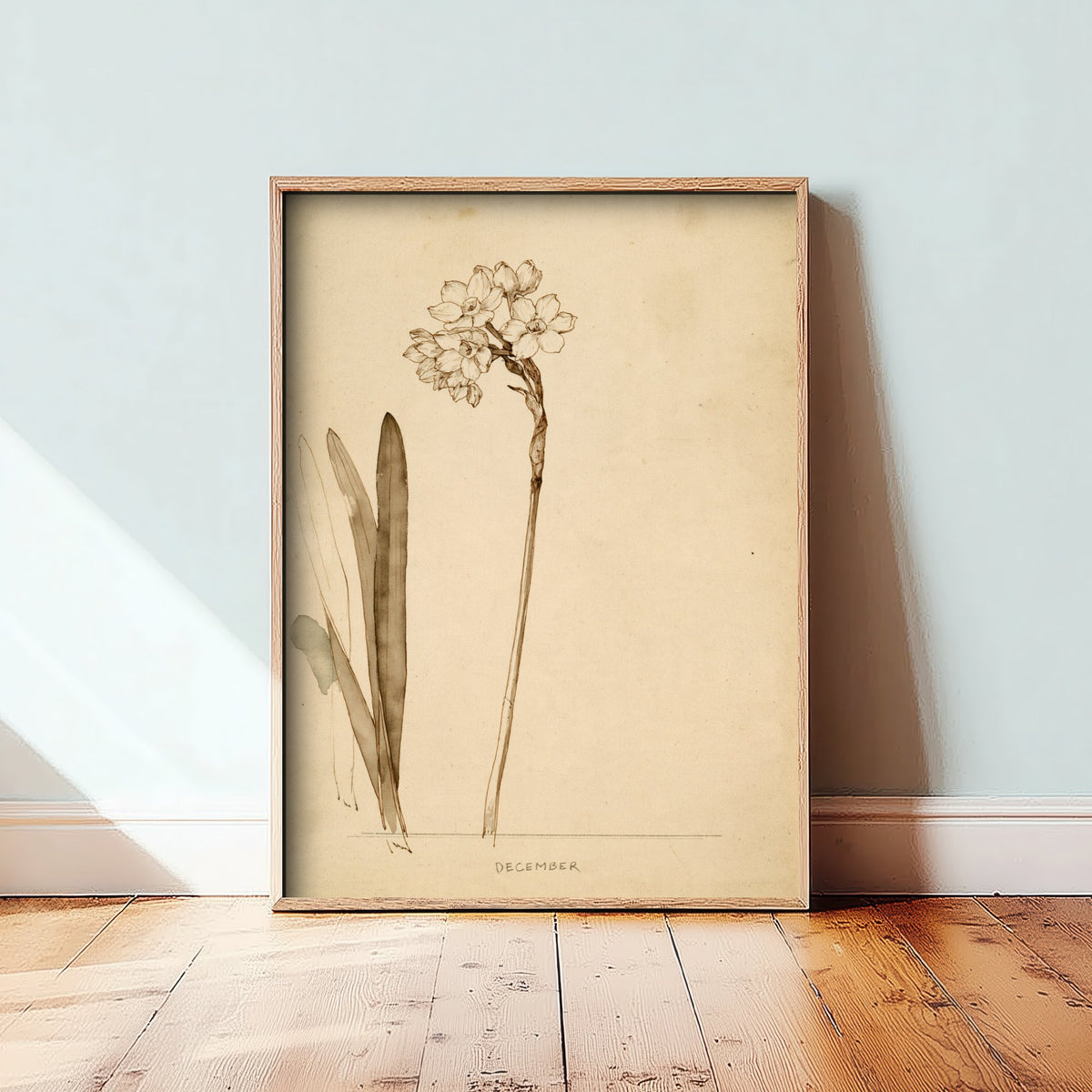 December Birth Flower Art Print - Paperwhite Narcissus Poster - Antique Sepia Ink Botanical Illustration - Birth Month Gift 12/12