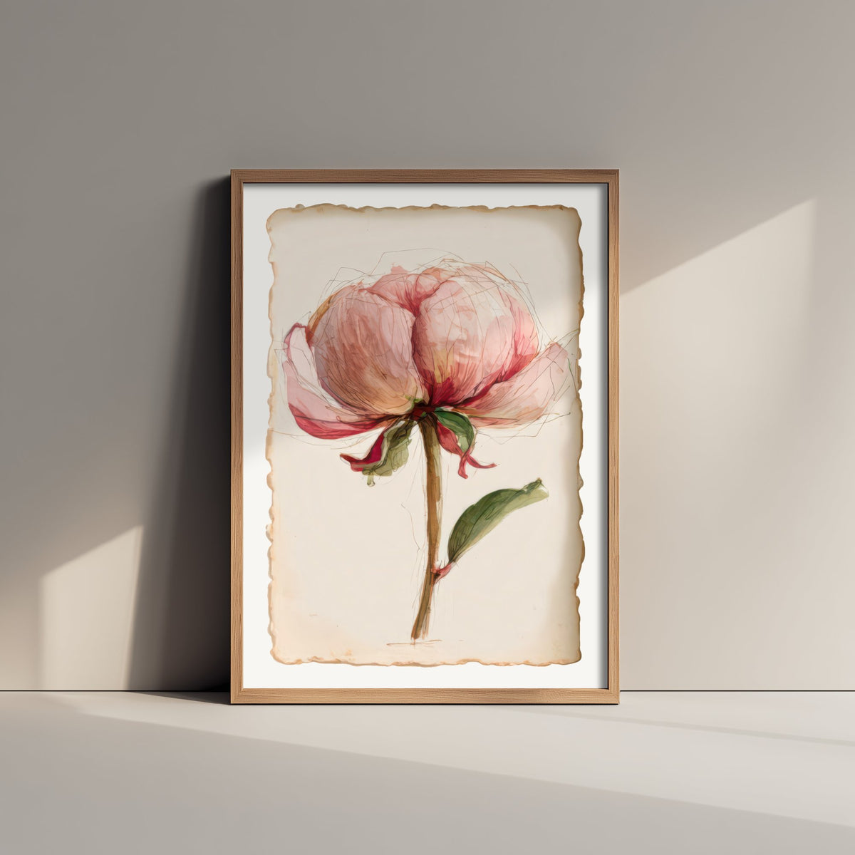 Blush Peony Art Print - Pink Flower Poster - Shabby Chic Watercolour Botanical V2 2/3