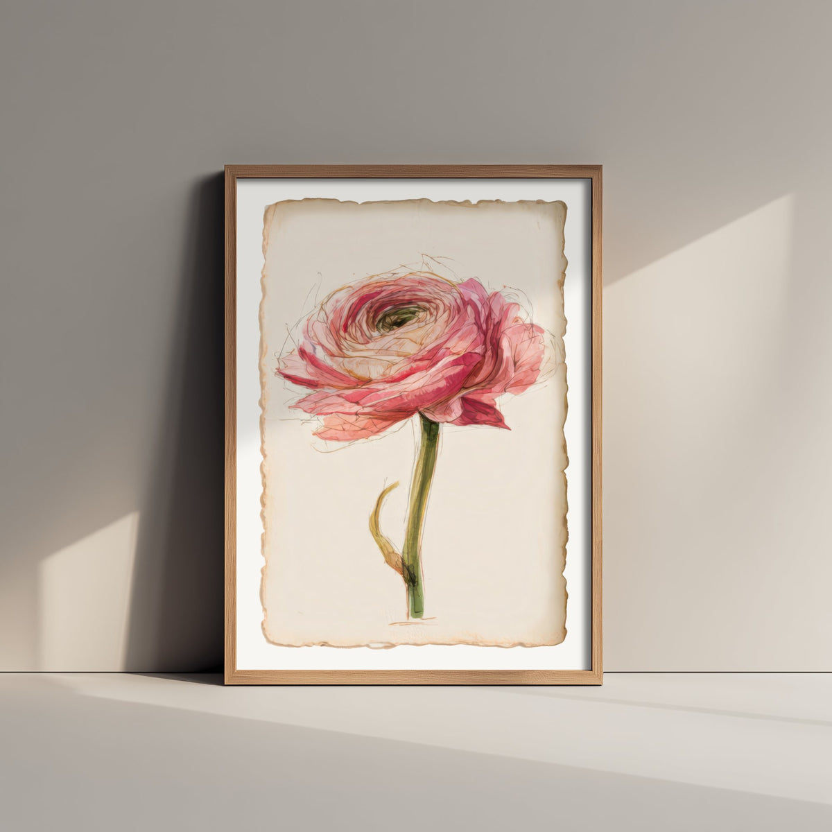 Pink Ranunculus Art Print - Layered Petal Flower Poster - Sketchbook Watercolour Botanical V2 3/3