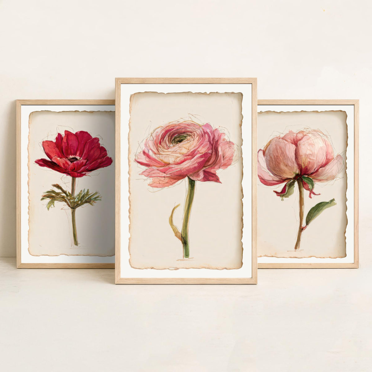 Watercolour Flower Set of Three Art Prints - Anemone, Peony, Ranunculus - Romantic Botanical Painting Poster V2