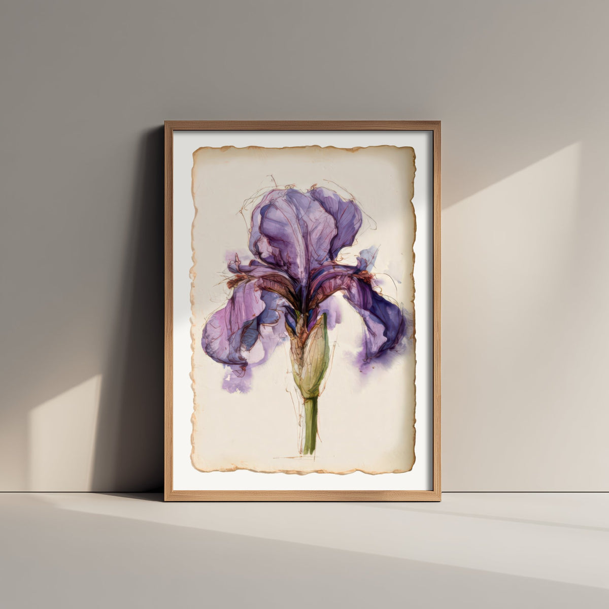 Violet Iris Art Print - Bearded Iris Botanical Poster - Loose Watercolour Sketch V1 1/3