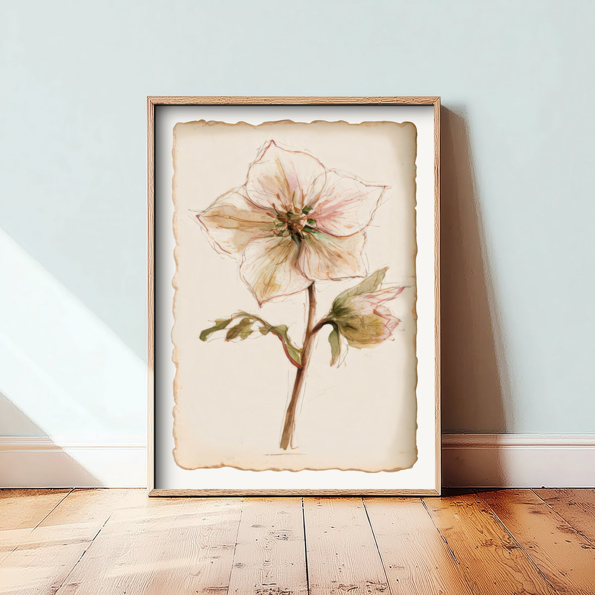 Hellebore Art Print - Lenten Rose Winter Flower Poster - Pale Blush Watercolour Botanical V1 2/3