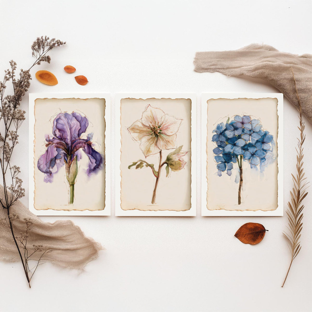Watercolour Flower Set of Three Art Prints - Iris, Hellebore, Hydrangea - Vintage Botanical Poster Painting V1