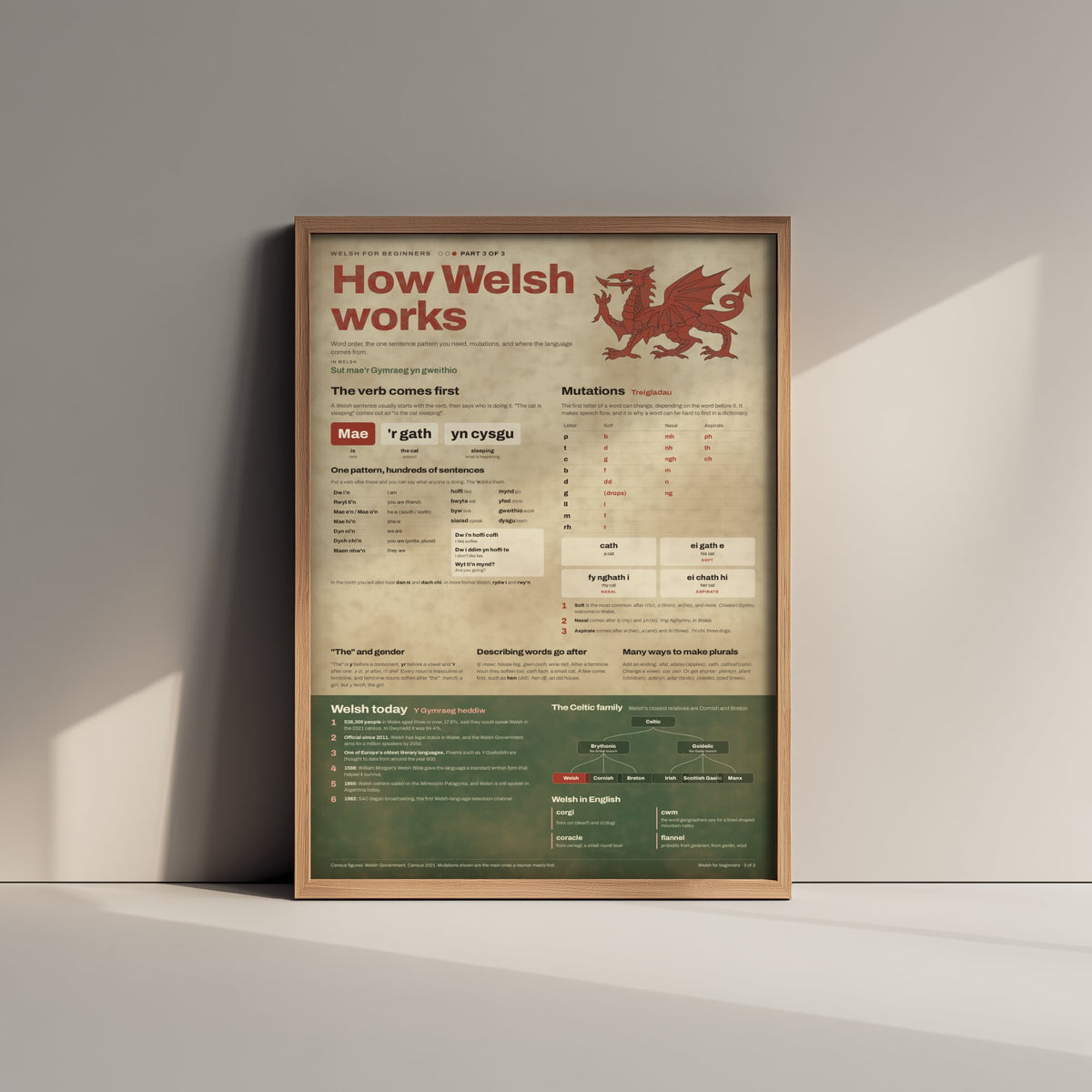 Welsh Grammar Art Print - How Welsh Works Mutations Poster - Educational Illustration - Welsh Learner Gift 3/3