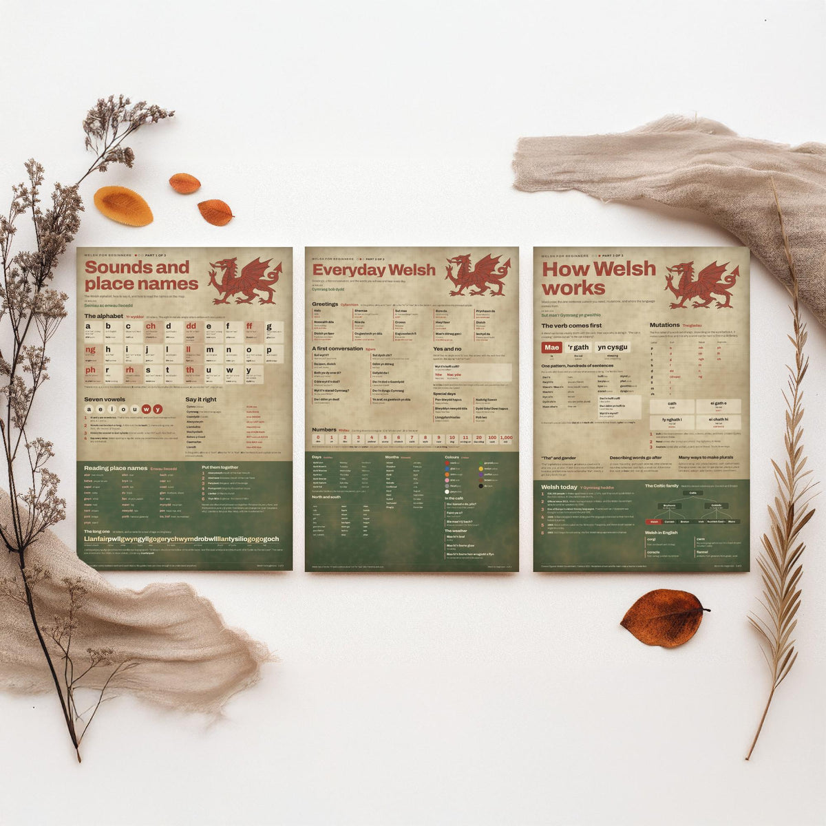 Welsh for Beginners Set of Three Art Prints - Sounds and Place Names, Everyday Welsh, How Welsh Works - Learn Welsh Poster Illustration