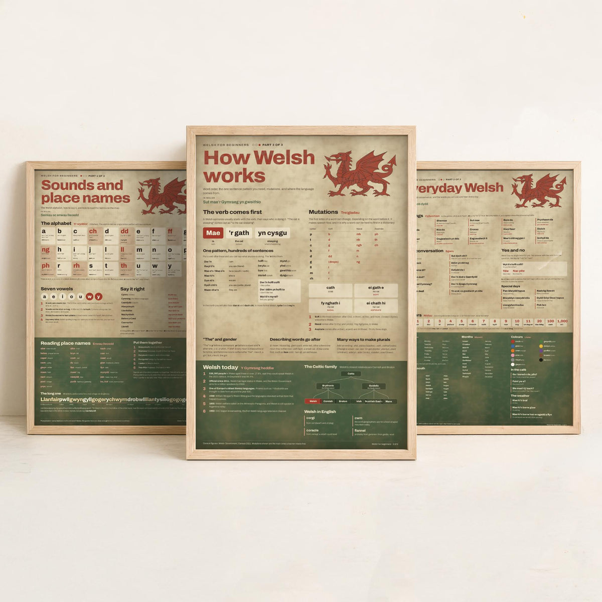 Welsh for Beginners Set of Three Art Prints - Sounds and Place Names, Everyday Welsh, How Welsh Works - Learn Welsh Poster Illustration