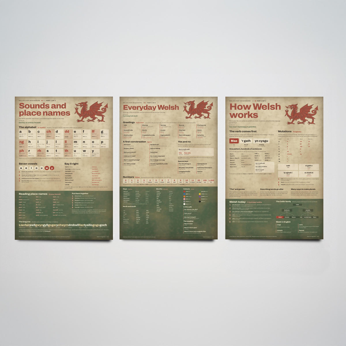 Welsh for Beginners Set of Three Art Prints - Sounds and Place Names, Everyday Welsh, How Welsh Works - Learn Welsh Poster Illustration