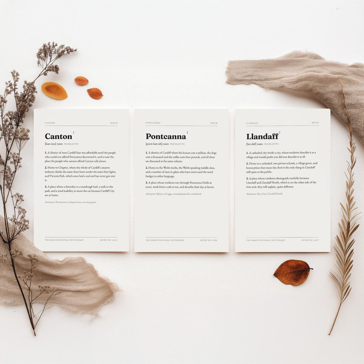 West Cardiff Demotivational Dictionary Set of Three Art Prints - Canton, Pontcanna, Llandaff - Neighbourhood Typography Poster