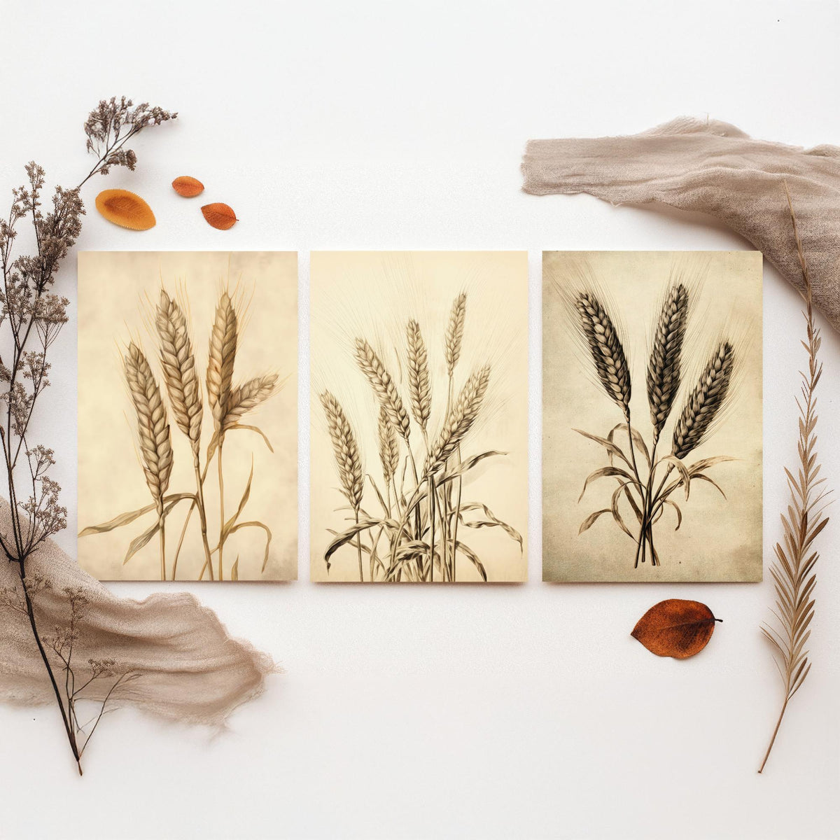 Wheat Ears Vintage Botanical Drawing Set of Three Art Prints - Sepia Grain Stalks and Harvest Sheaf - Farmhouse Kitchen Poster