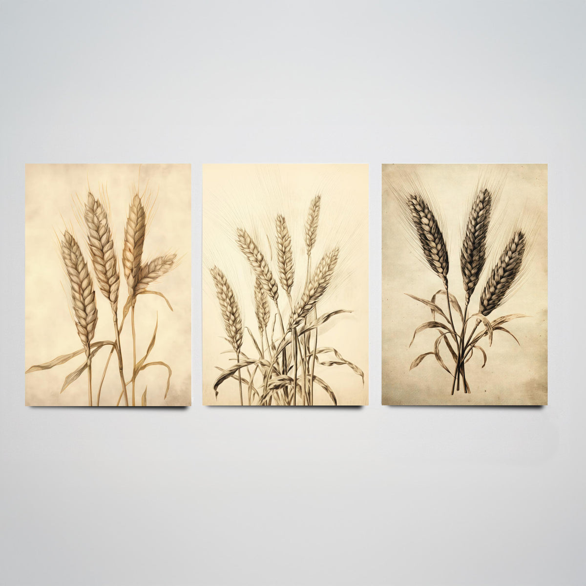 Wheat Ears Vintage Botanical Drawing Set of Three Art Prints - Sepia Grain Stalks and Harvest Sheaf - Farmhouse Kitchen Poster
