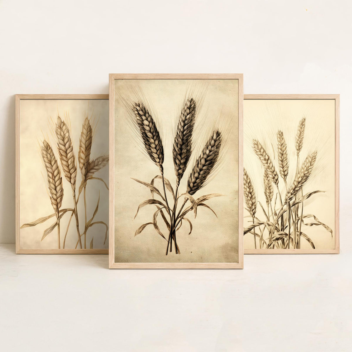 Wheat Ears Vintage Botanical Drawing Set of Three Art Prints - Sepia Grain Stalks and Harvest Sheaf - Farmhouse Kitchen Poster