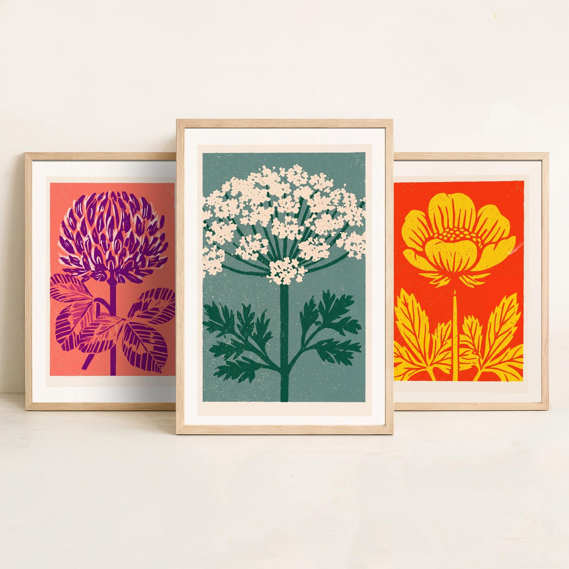 Wildflowers Linocut Set of Three Art Prints - Red Clover Buttercup Cow Parsley - 3 Bold Meadow Illustrations - Retro Botanical Poster